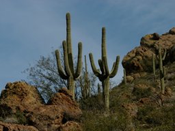 USA_Mexico2006-2007-025